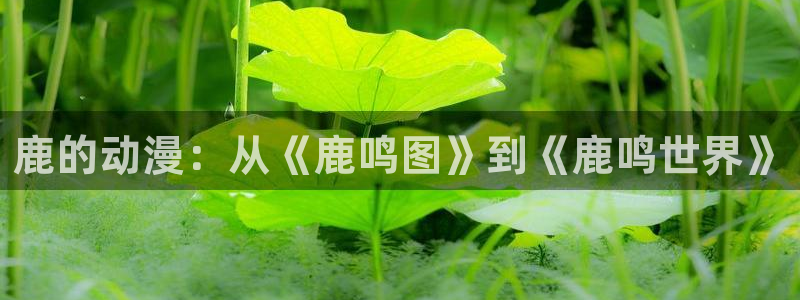 樱花动漫电脑版：鹿的动漫：从《鹿鸣图》到《鹿鸣世界》