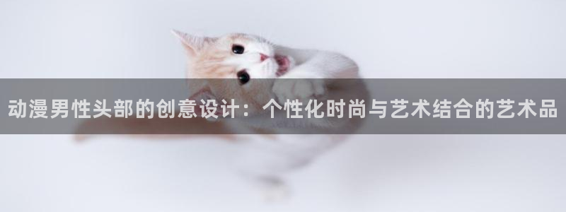 樱花动漫pan：动漫男性头部的创意设计：个性化时尚与艺术结合的艺术品