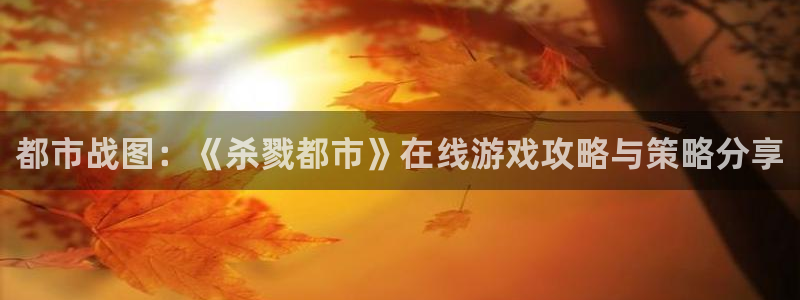 动漫风车樱花动漫：都市战图：《杀戮都市》在线游戏攻略与策略分享