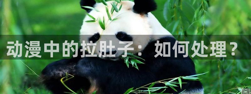 樱花动漫专门：动漫中的拉肚子：如何处理？